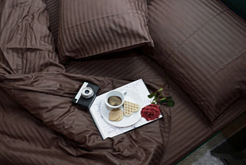 Stripe LUX CHOCOLATE 1/1см (Полут. на рез.)