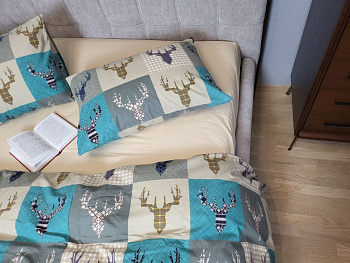 Трофей бірюза/св.беж, Turkish flannel (Двоспальний)