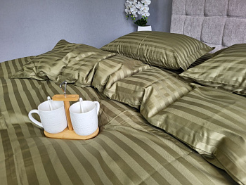 Stripe PREMIUM, KHAKI 2/2см (Євро)