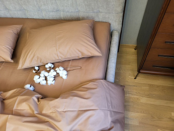 SOLO № S121, cotton (Сімейний)