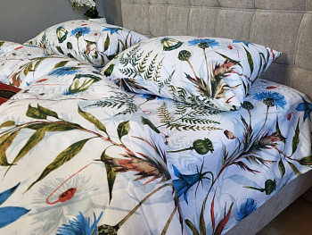 Волошки, Turkish flannel (Євро)