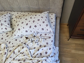 Бланка, GOFRE (Євро)