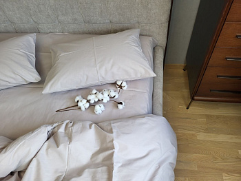 SOLO № S146, cotton (Двоспальний)