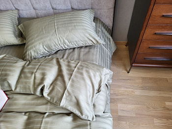 MULTI stripe RIPE OLIVE (Сімейний)