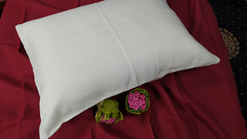 Нав. -1шт Ванільний шампань, льон 100% (Набір 50*70см)