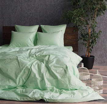 Stripe LUX SOFT MINT 1/1см (Євро на резин.)