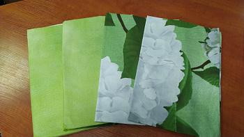 Набір наволочок 4 шт., МІКС 50/70см № 238 (Набір 50*70см)