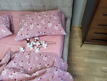 Вербена рожевий, GOFRE DUO (Полуторний)