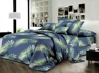 Чародійка, ранфорс (Євро)