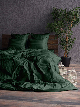 Stripe LUX GREEN 1/1см (Сім. на резин.)