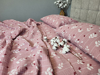 Вербена рожевий, GOFRE (Сім. на рез.)