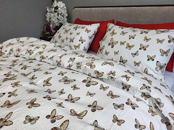 Політ, GOFRE (Сімейний)